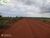 Terreno, 1 hectares - Foto 4