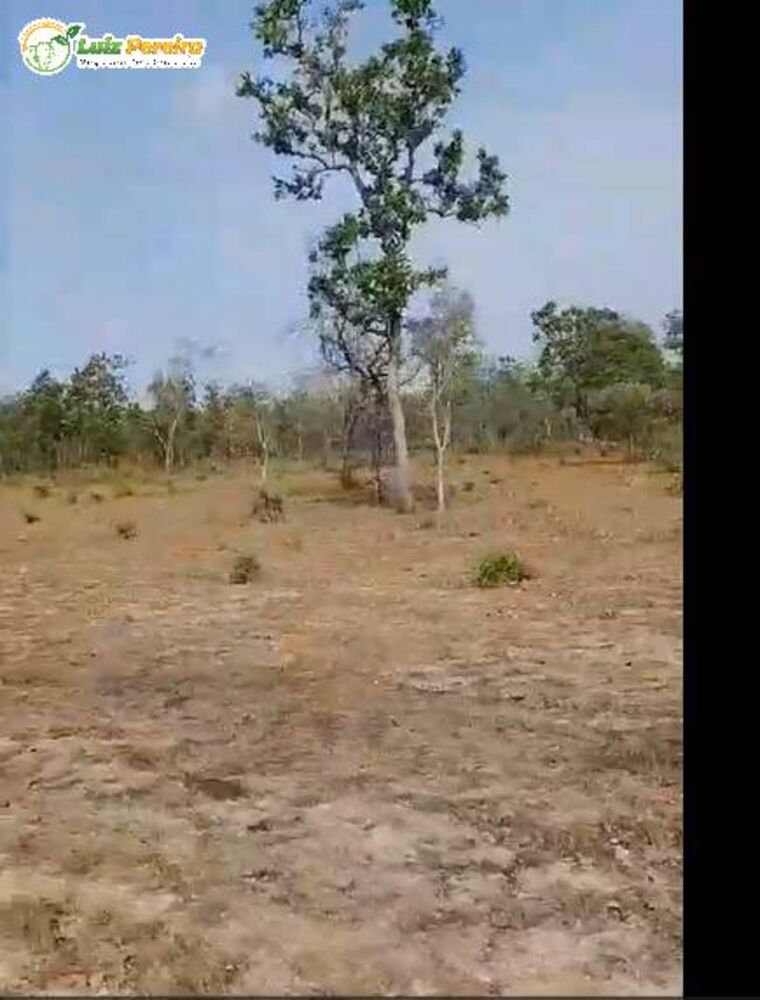 Terreno, 3700 m² - Foto 1