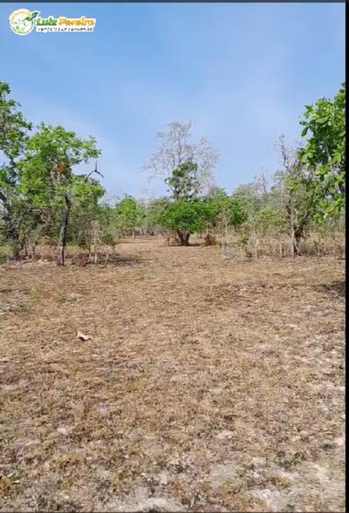 Terreno, 3700 m² - Foto 4