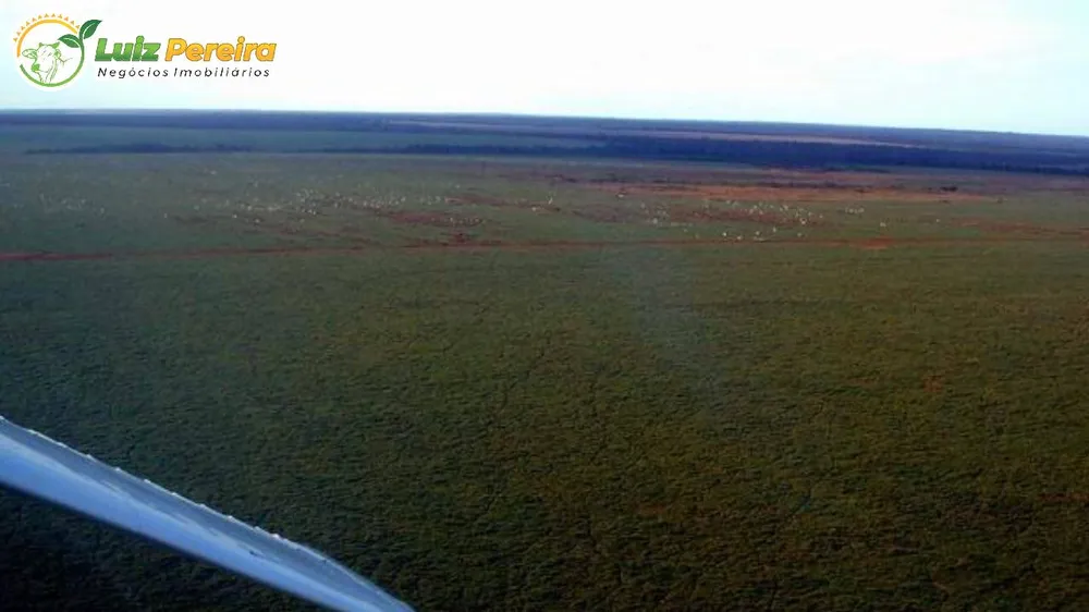 Terreno, 10 hectares - Foto 12
