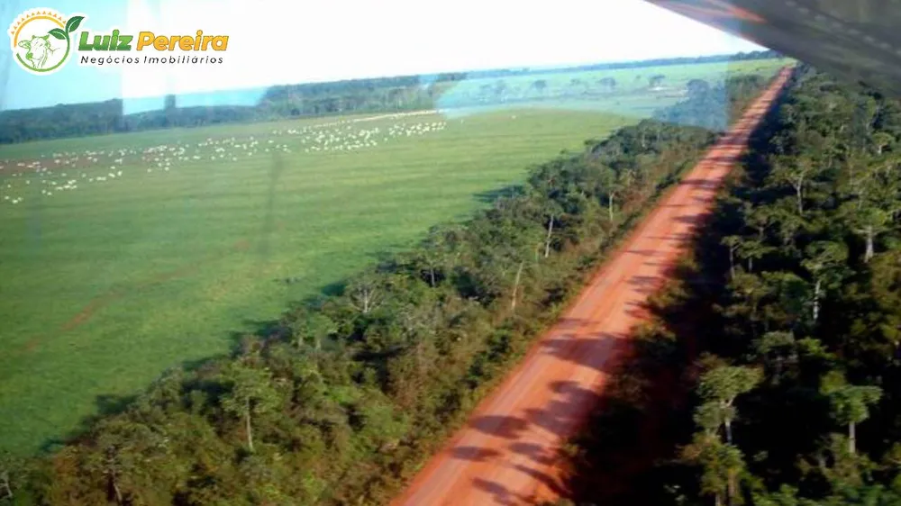 Terreno, 10 hectares - Foto 10