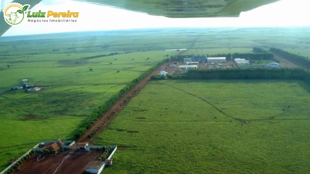 Terreno, 10 hectares - Foto 7