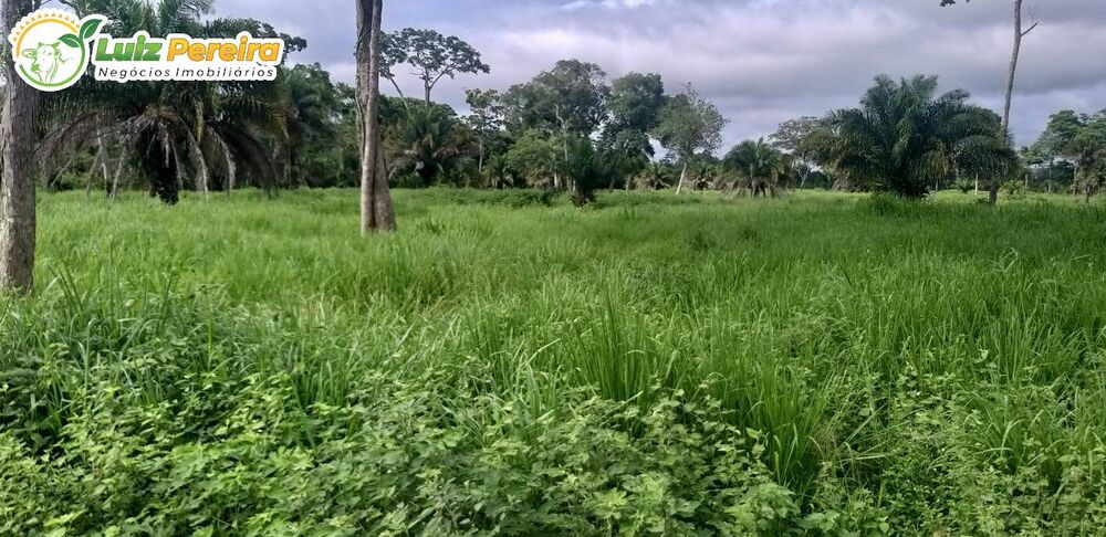 Terreno, 968 m² - Foto 3