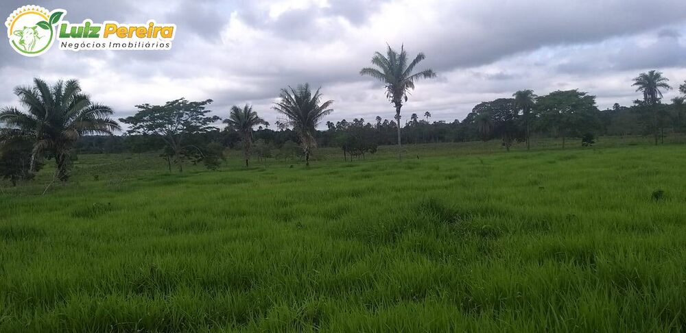 Terreno, 968 m² - Foto 4