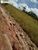 Terreno, 2033 hectares - Foto 4