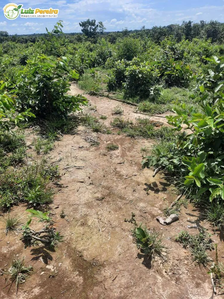 Terreno, 1210 m² - Foto 14