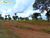 Terreno, 1104 hectares - Foto 4