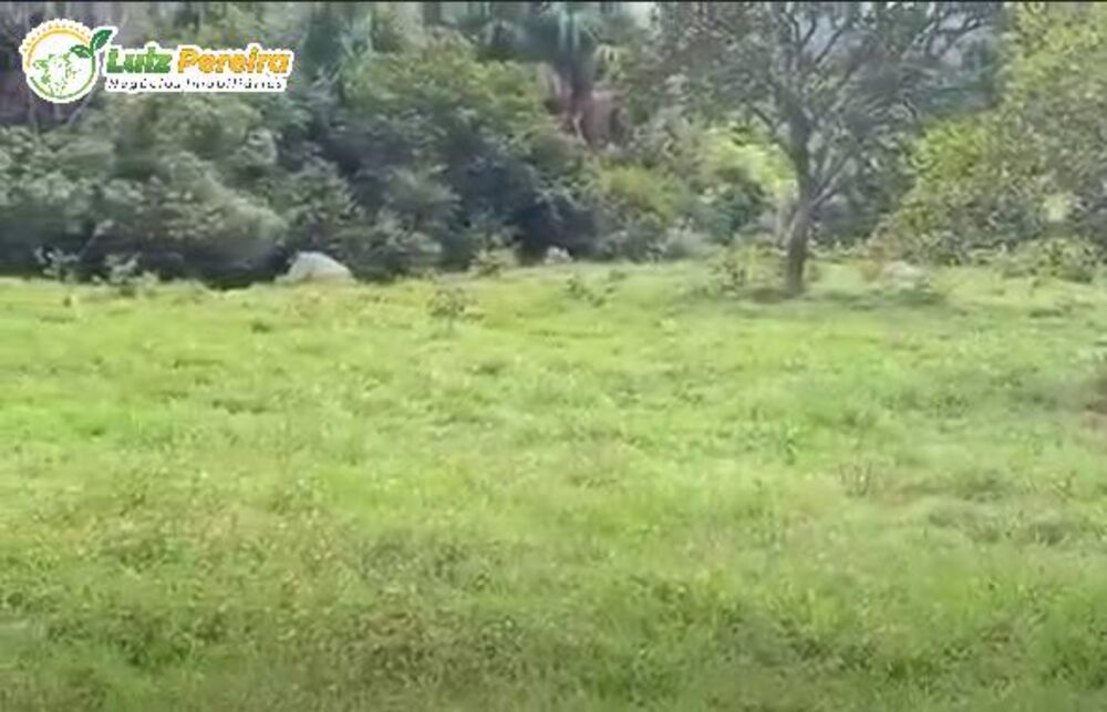 Terreno, 660 m² - Foto 4
