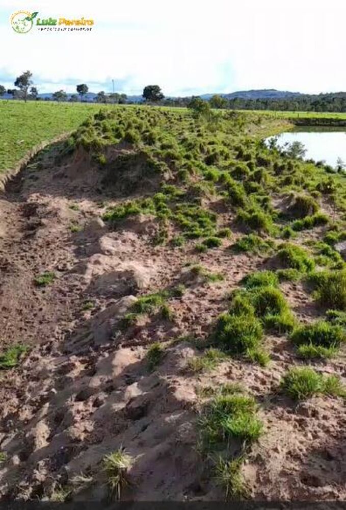 Terreno, 1432 m² - Foto 4