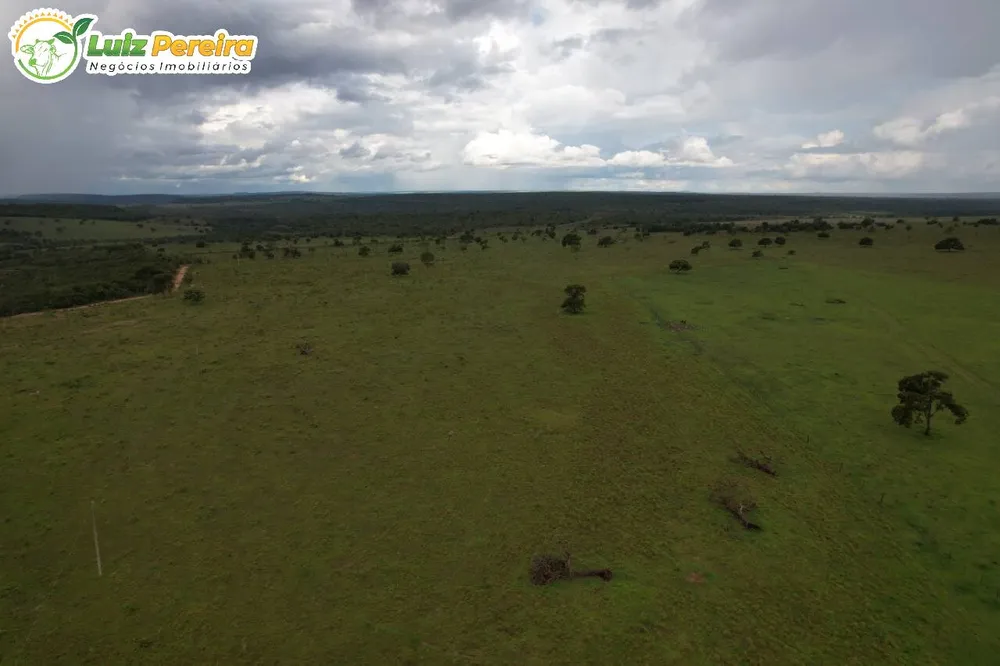 Terreno, 400 hectares - Foto 7