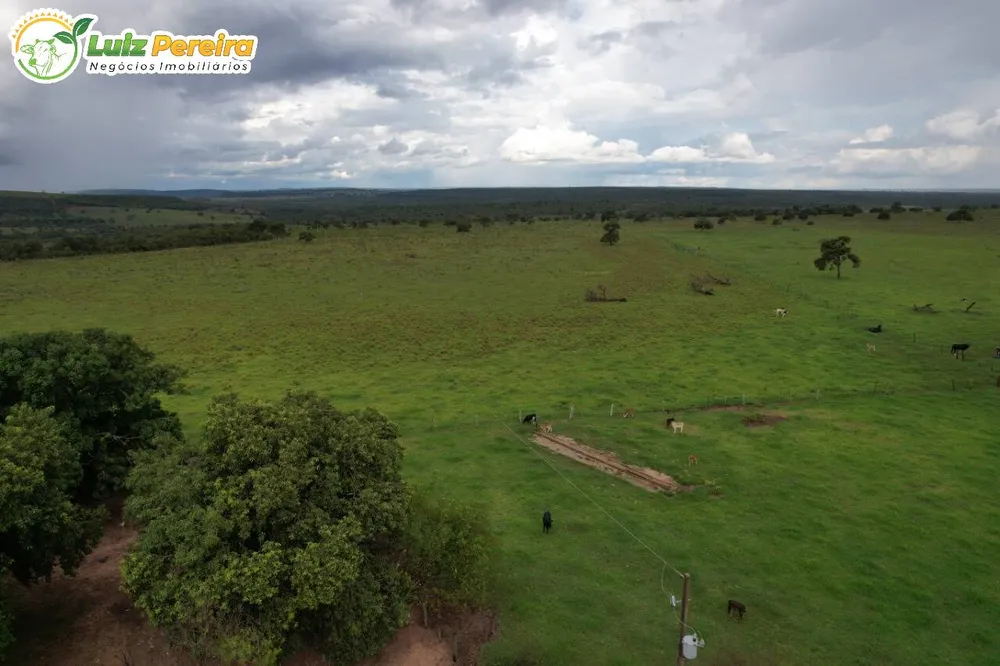 Terreno, 400 hectares - Foto 4