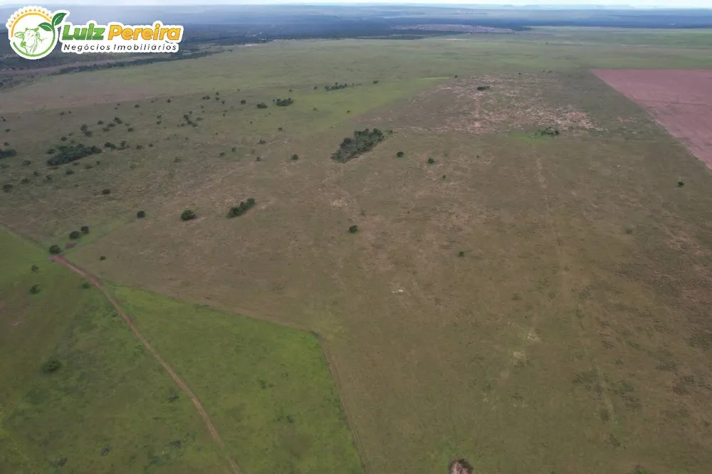 Terreno, 400 hectares - Foto 11