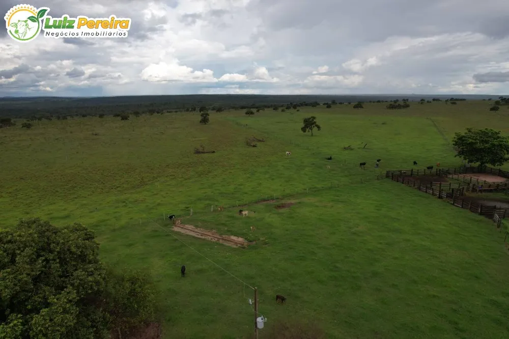 Terreno, 400 hectares - Foto 3