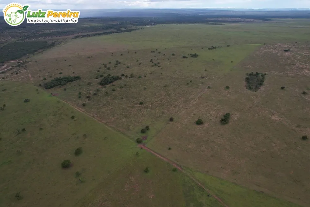Terreno, 400 hectares - Foto 8