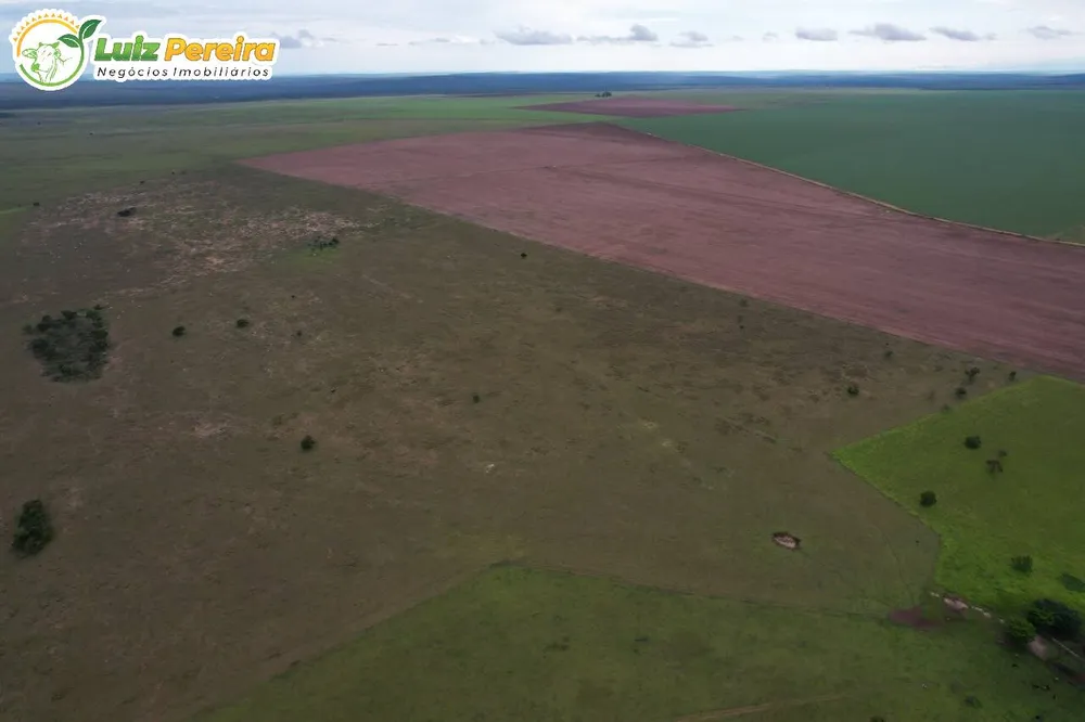 Terreno, 400 hectares - Foto 10