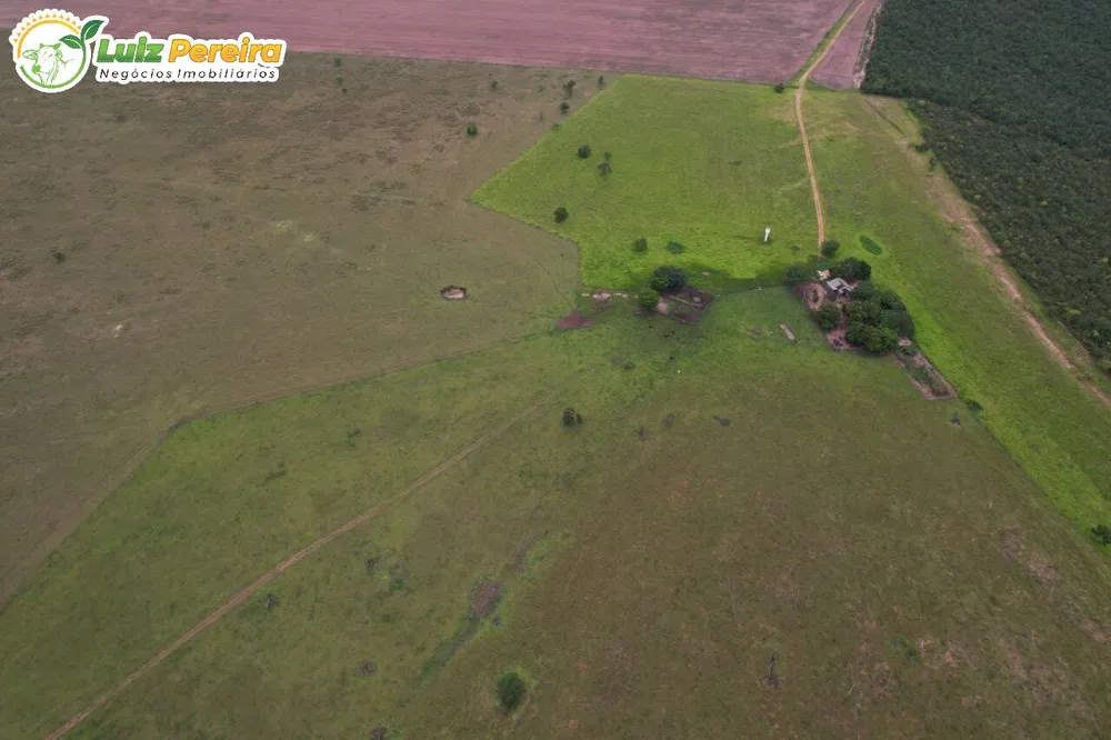 Terreno, 400 hectares - Foto 12