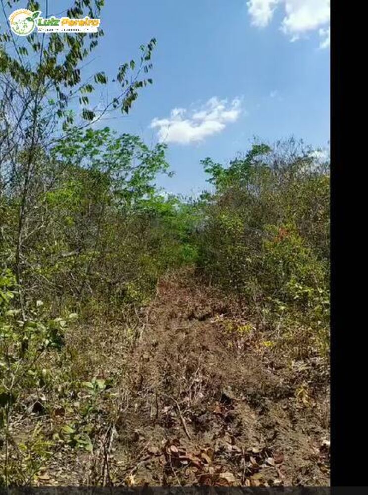 Terreno à venda, 2490m² - Foto 1