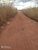 Terreno, 1270 hectares - Foto 3