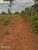 Terreno, 1270 hectares - Foto 2