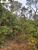 Terreno, 1270 hectares - Foto 1