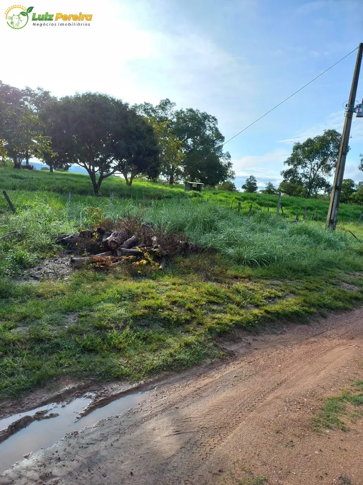 Terreno, 387 hectares - Foto 5