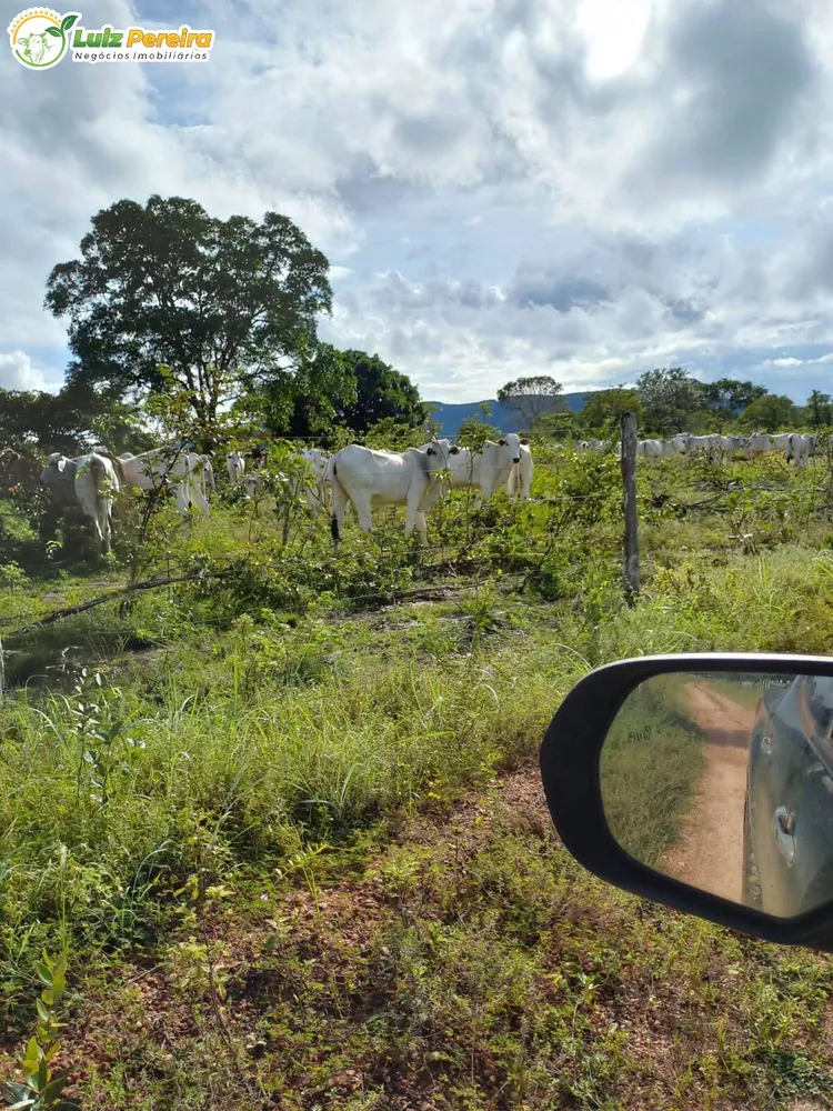 Terreno, 387 hectares - Foto 14