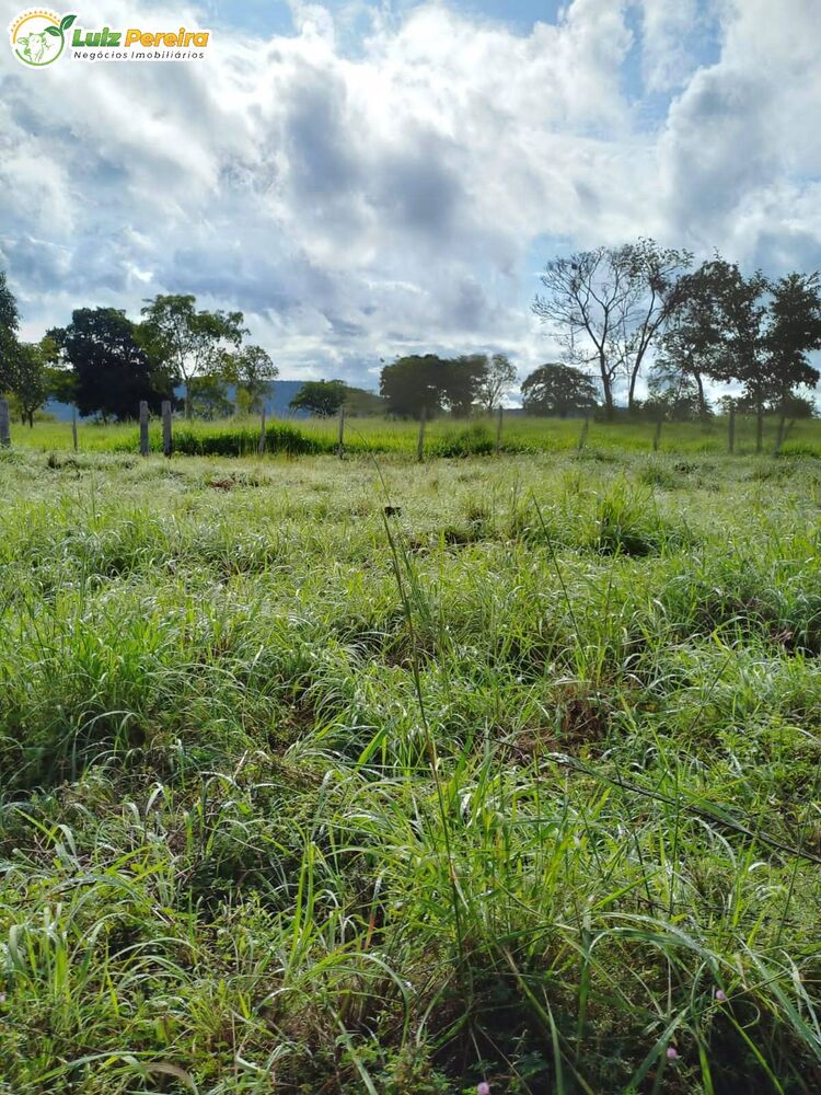 Terreno, 387 hectares - Foto 2