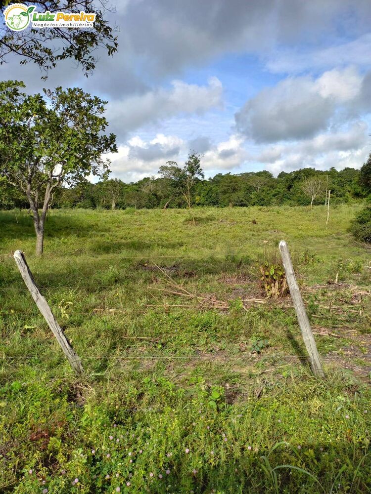 Terreno, 387 hectares - Foto 3