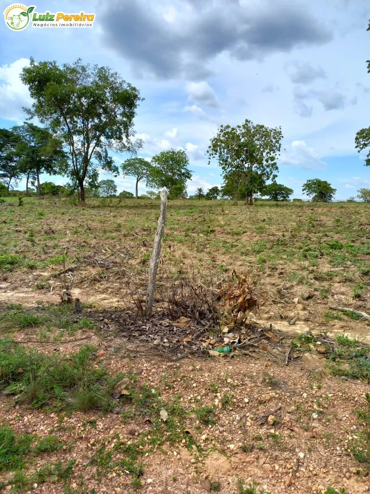 Terreno, 387 hectares - Foto 12