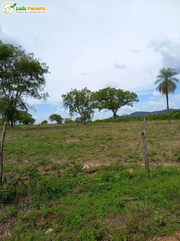 Terreno, 387 hectares - Foto 9