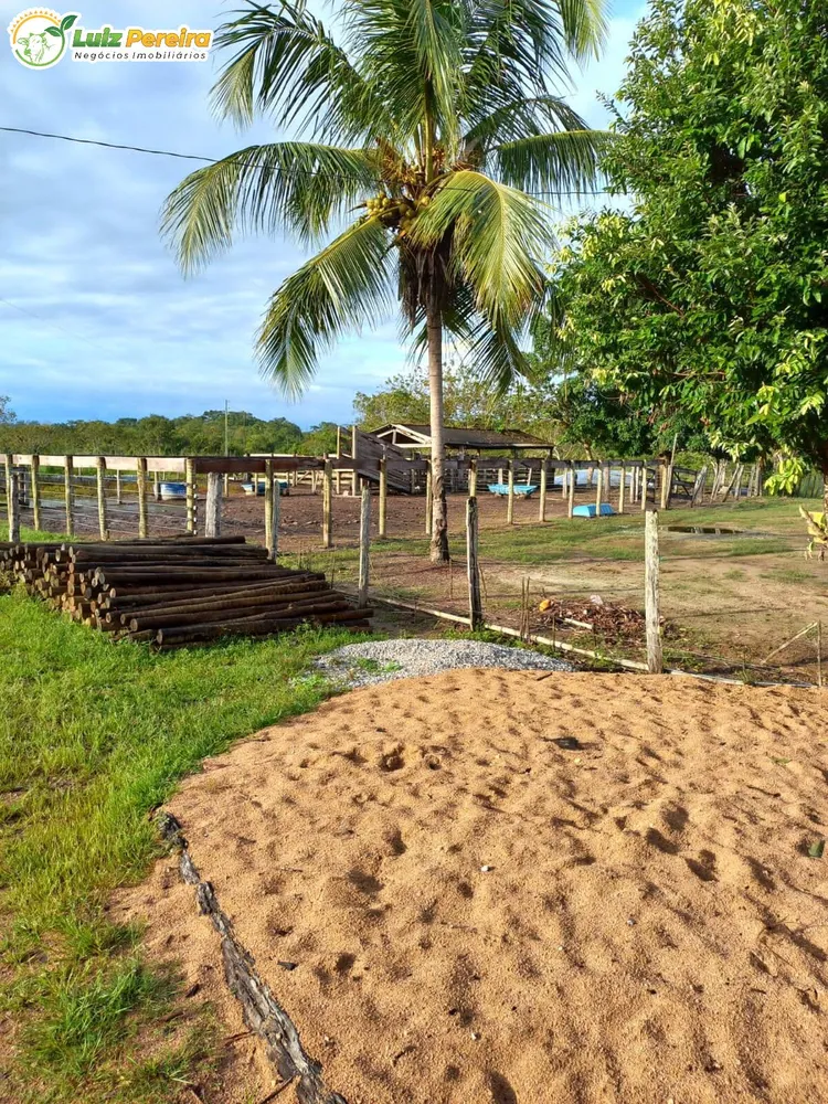Terreno, 387 hectares - Foto 11