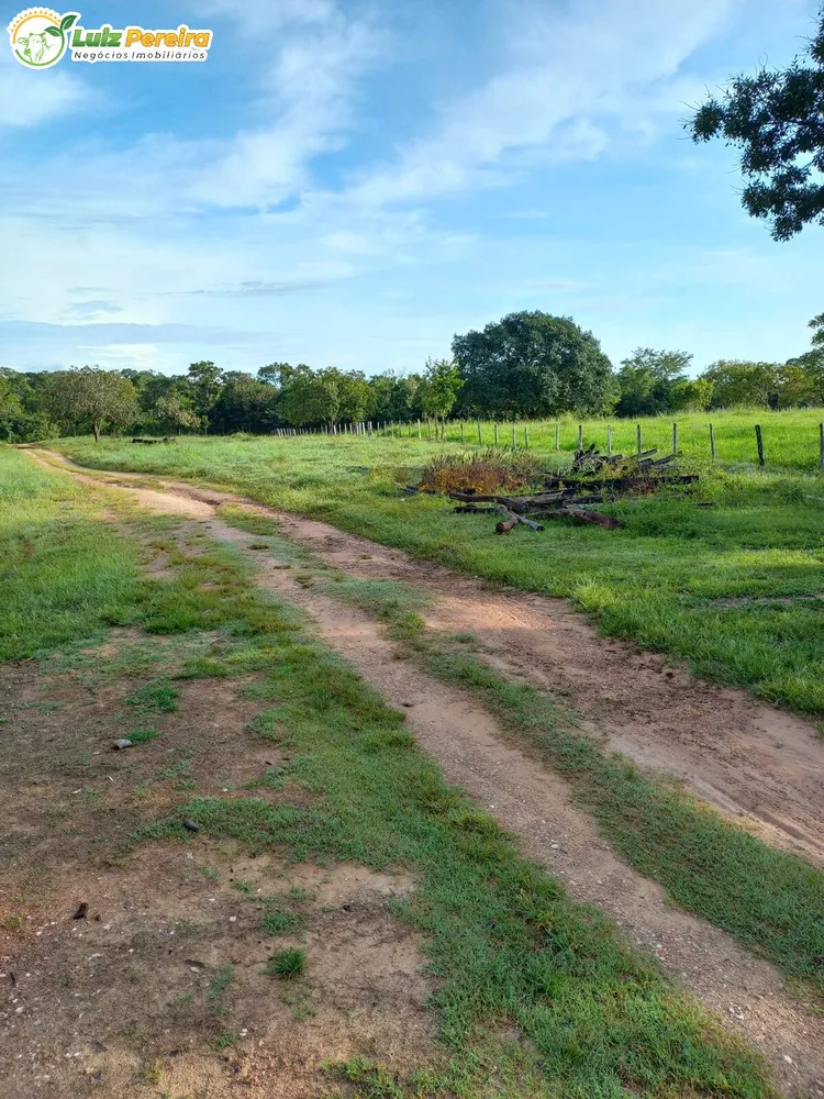 Terreno, 387 hectares - Foto 4