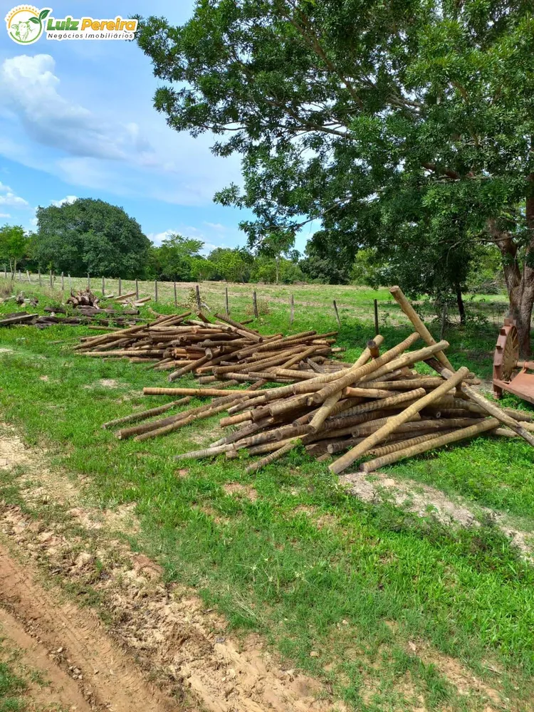 Terreno, 387 hectares - Foto 13