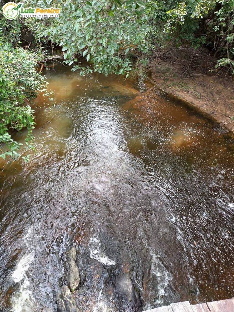 Terreno, 387 hectares - Foto 4