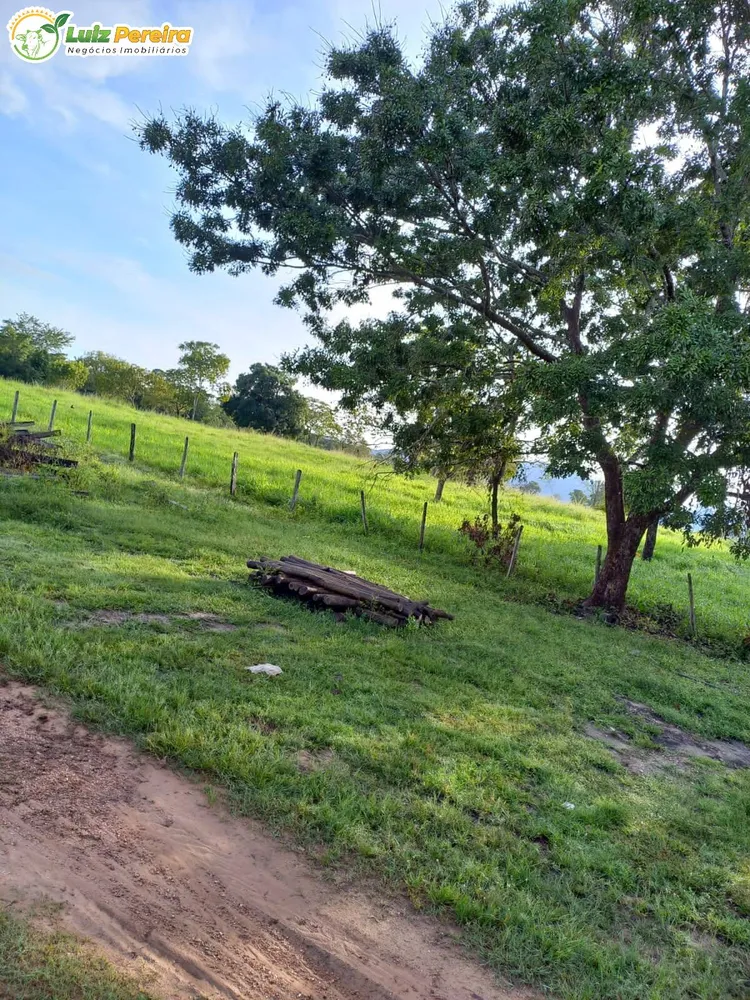 Terreno, 387 hectares - Foto 3