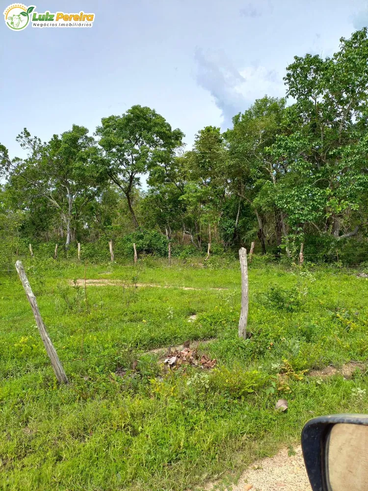 Terreno, 387 hectares - Foto 7