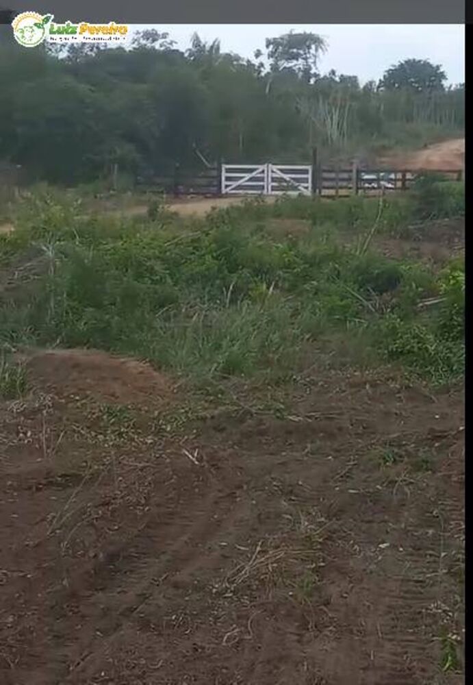 Terreno à venda, 1450m² - Foto 3