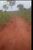 Terreno, 387 hectares - Foto 4
