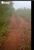 Terreno, 387 hectares - Foto 6
