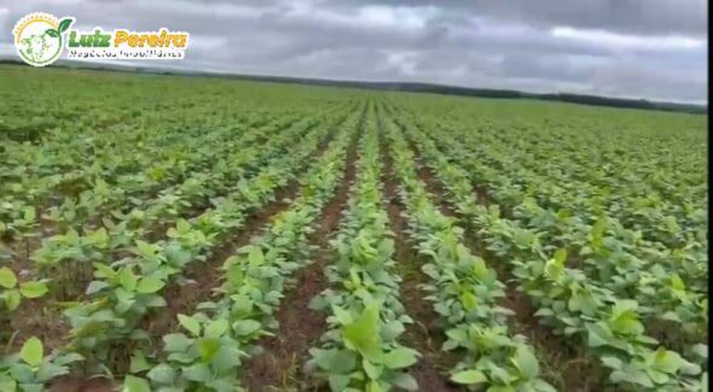 Terreno, 822 m² - Foto 3