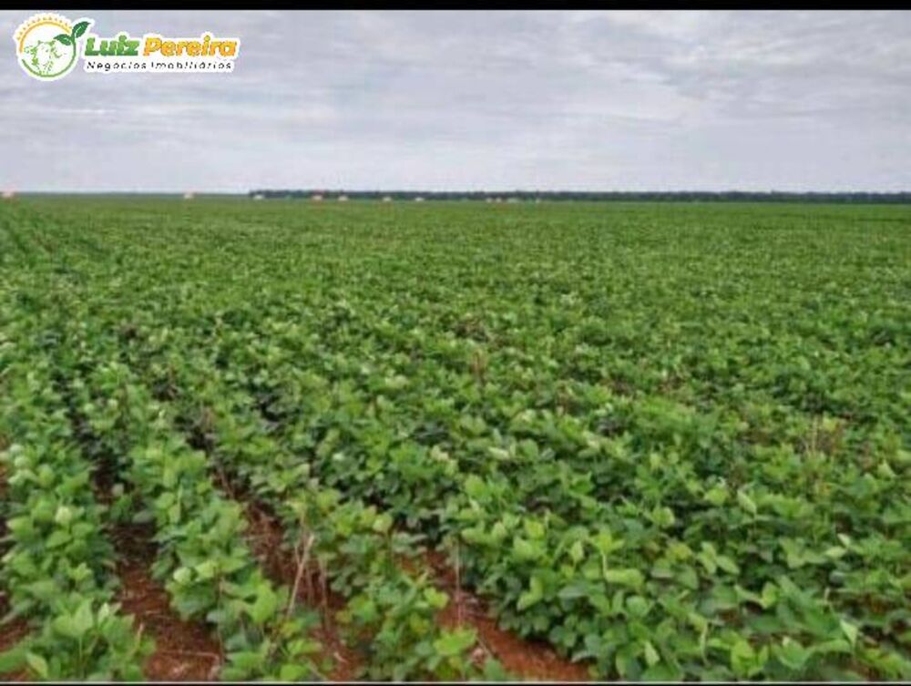 Terreno, 822 m² - Foto 2