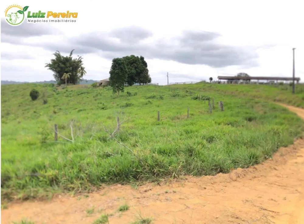 Terreno, 5595 m² - Foto 13