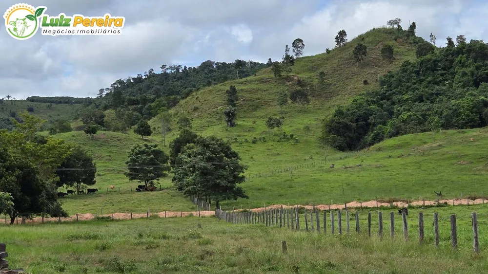 Fazenda, 372 m² - Foto 6