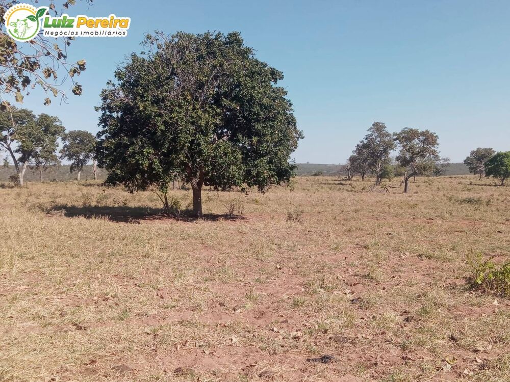 Terreno, 307 m² - Foto 1