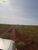 Terreno, 242 hectares - Foto 3