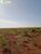 Terreno, 242 hectares - Foto 2