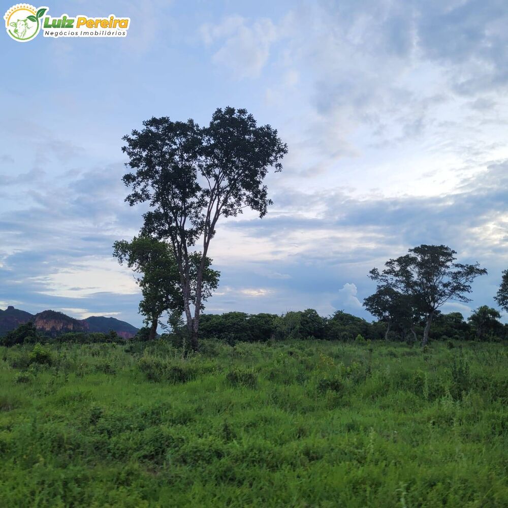 Terreno, 4892 m² - Foto 2