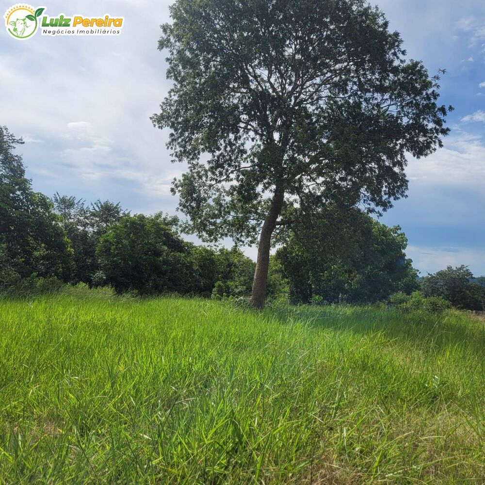 Terreno, 4892 m² - Foto 1