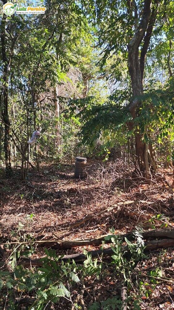 Terreno, 303 m² - Foto 3