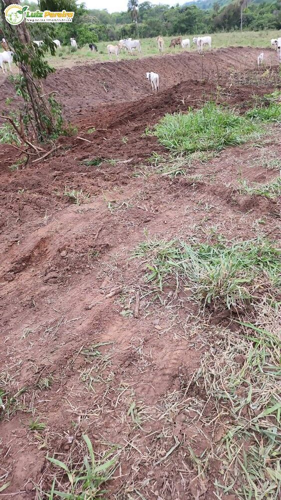 Terreno, 303 m² - Foto 2